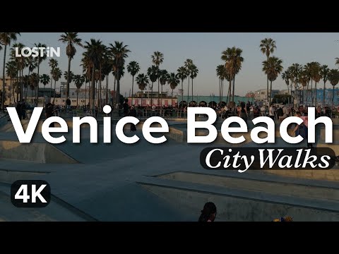 Exploring Venice Beach’s Unique Charm: A Walking Tour Through The Boardwalk at Dusk