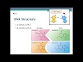 Exploring DNA and Its Replication Process