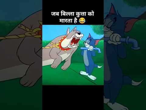 जब बिल्ला कुत्ता को मारता है 😂। Funny explanation cartoon| #memes #funny  #explain