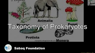 Taxonomy of Prokaryotes