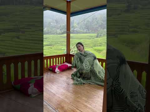 Musim hujan paling enak tarik selimut #rismanirmalasari #gadisdesa #shortsvideo