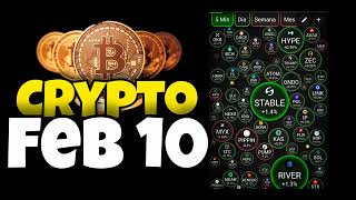 Regresamos #cryptomarket Hoy Feb 10 #btc #xrp Cual tienes en tu #cartera 