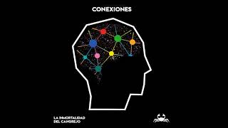La Inmortalidad del Cangrejo - Conexiones (Audio)