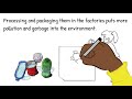Understanding Food Sources and Processing