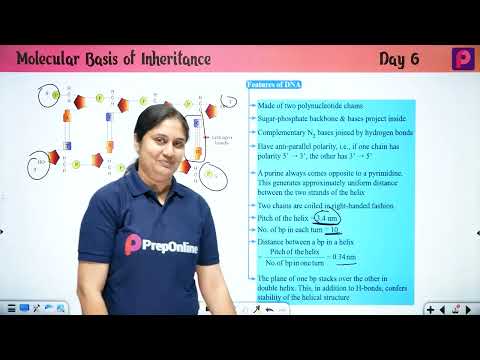 Day 06 Molecular Basis Of Inheritance - NEET Most wanted Series by pooja mam