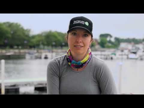 Reviving Lake Erie: Boosting Fish Habitats for Future Generations