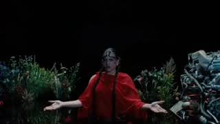 Doblajes chistosos --xurxocarreno