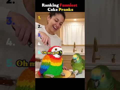Ranking Funniest cake pranks part 5 ππ