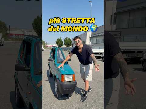 La REGINA della pianura PANDANA 🐼🚗  #panda #fiatpanda #progetto #elaborazioni #virale #pandemonio