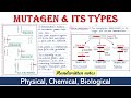 DNA Mutations and Genetic Mechanisms