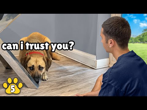 She's been Completely Terrified her Whole Life... Until Now