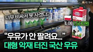 콧대 높던 국산 우유가 폭망 직전? 내년이 초대형 위기인 이유 I 한국 우유 편 [오분경제]