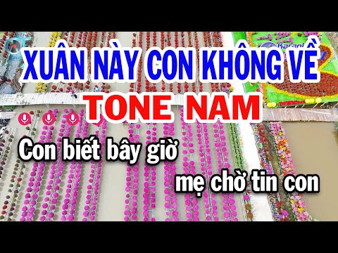 Karaoke Xuân Này Con Không Về Tone Nam ( D ) Nhạc Xuân Quá Hay || Đồng Sen Karaoke