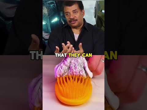 Superman vs. Batman? 🦸‍♂️ With Neil deGrasse Tyson
