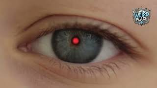 The Devil’s Footprints: A 100-Mile Paranormal Mystery