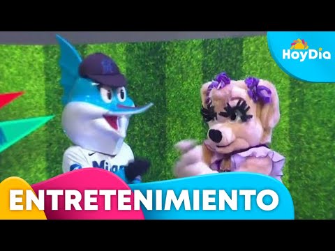 Po'Yo y Billy casi empatan en Competencia de Mascotas | Hoy Día | Telemundo