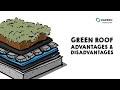 Green Roofs: Advantages and Disadvantages