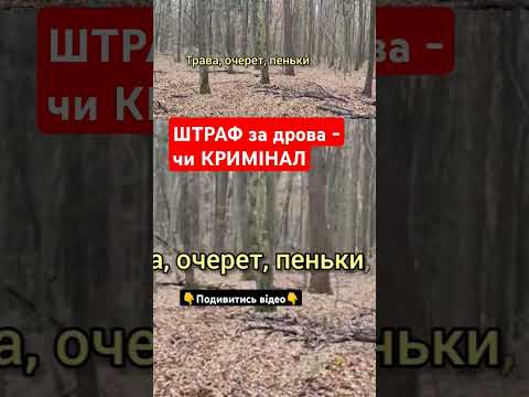 ШТРАФ ЗА ДРОВА - ЧИ КРИМІНАЛ #georgmotoblok