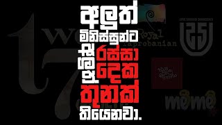 අලුත් මිනිස්සුන්ට අලුත් රස්සා දෙක තුනක් තියෙනවා|Job Vacancies at Two 17 Pvt Ltd|Upul Sannasgala