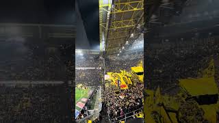 Ausschnitt aus dem Lied "Leuchte auf" vom Spiel am 19.12. vs Gladbach #bvb #shorts #football #fyp