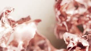 Xiaomi 15T Series Gold Collection