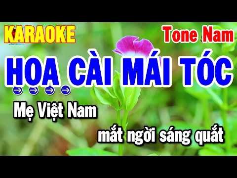Karaoke Hoa Cài Mái Tóc Tone Nam | Nhạc Sống Cha Cha Dễ Hát 2025 | Thanh Hải