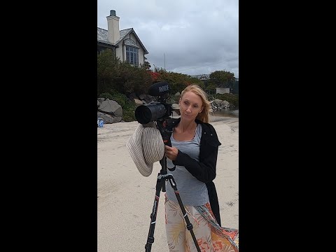 The only good shot is a butt shot #shorts