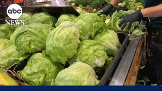 YouTube video thumbnail: People can Resume Regular Lettuce-Eating Habits, Michigan Health Officials say