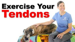 Exercise Your Tendons - See Why!