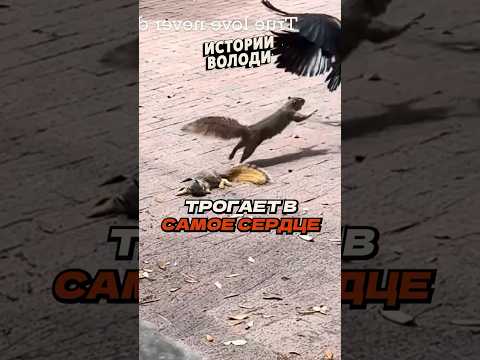 Настоящая ДРАМА ?