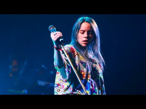 Billie Eilish - my boy (Live 2018)