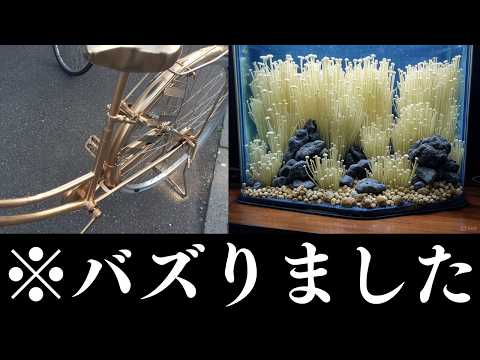 【総集編】Xでバズったポストが面白い件www【サイゼリヤ】