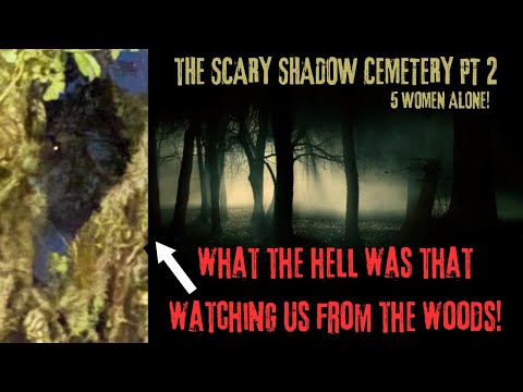 Return To The Haunted Shadow Cemetery PT 2 #paranormalactivity #evp #hauntedcemetery #shadowfigures