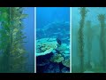 Ecosistemas y Humedales