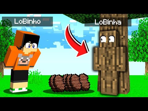 CRUSH usou CAMUFLAGEM para TESTAR a HONESTIDADE DO LOBINHO no MINECRAFT!!