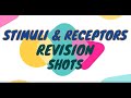 Sensory System and Stimuli
