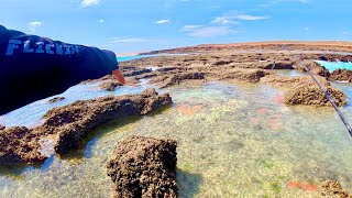 SQUALLY WINDS...WE MOVED CAMP TO THIS SPOT..