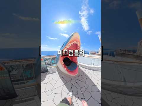 상어의 끝에는