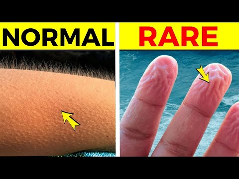 Body Facts That Will Blow Your Mind | Fact Minded