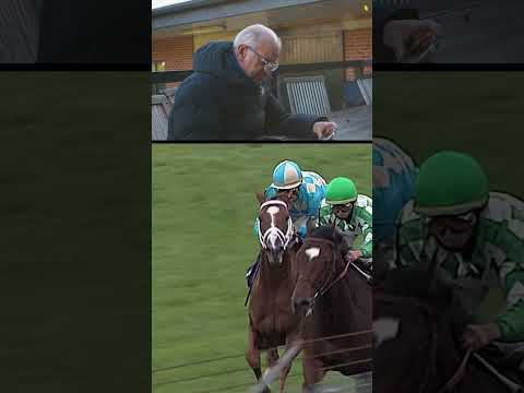 Frankie Dettori Magic ✨