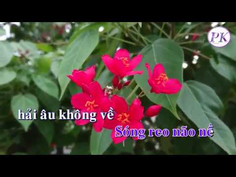 Karaoke Biển Cạn – Tone Nam (Rê Thứ Dm) – Quốc Dân Karaoke