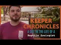 Reptile Behavior and Care