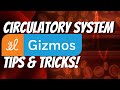Circulatory System Concepts and Gizmo Usage