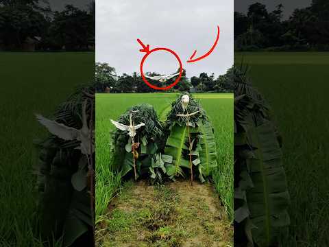 🤣😈😁#shorts #viral #shortvideo #trending #viralvideo #india #indonesia #brazil #nepal #pakistan