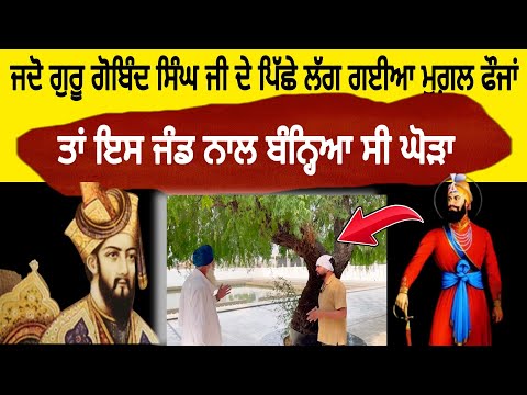 Guru Gobind Singh Ji ਨੇ ਇਸ ਜੰਡ ਨਾਲ ਬੰਨ੍ਹਿਆ ਸੀ ਘੋੜਾ | Ravi Bareta vlogs