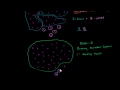 Understanding Number Systems