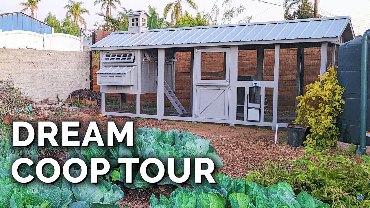 The Dream Chicken Coop Full Tour with Carolina Coops