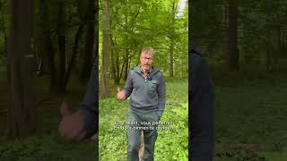 Sentiers pirates I Niet officieel pad