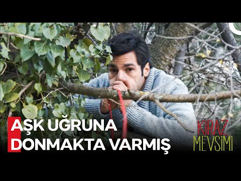 Ah Romantizm Sen Nelere Kadirsin Ya! - Kiraz Mevsimi