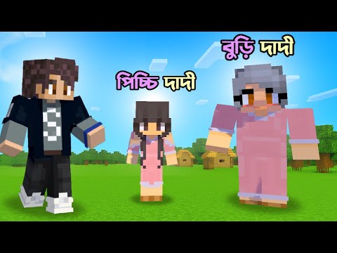 দাদি কিভাবে পিচ্চি হয়ে গেলো ? 😯 | Minecraft Bangla | Ris Plays